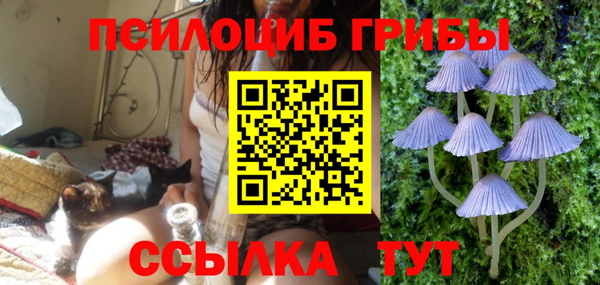 Дербент  Псилоцибиновые грибы MAGIC MUSHROOMS  что такое наркотик  Галлюциногенные грибы ЛСД  Вход с VPN 